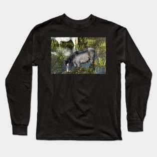 Wild Horse Long Sleeve T-Shirt